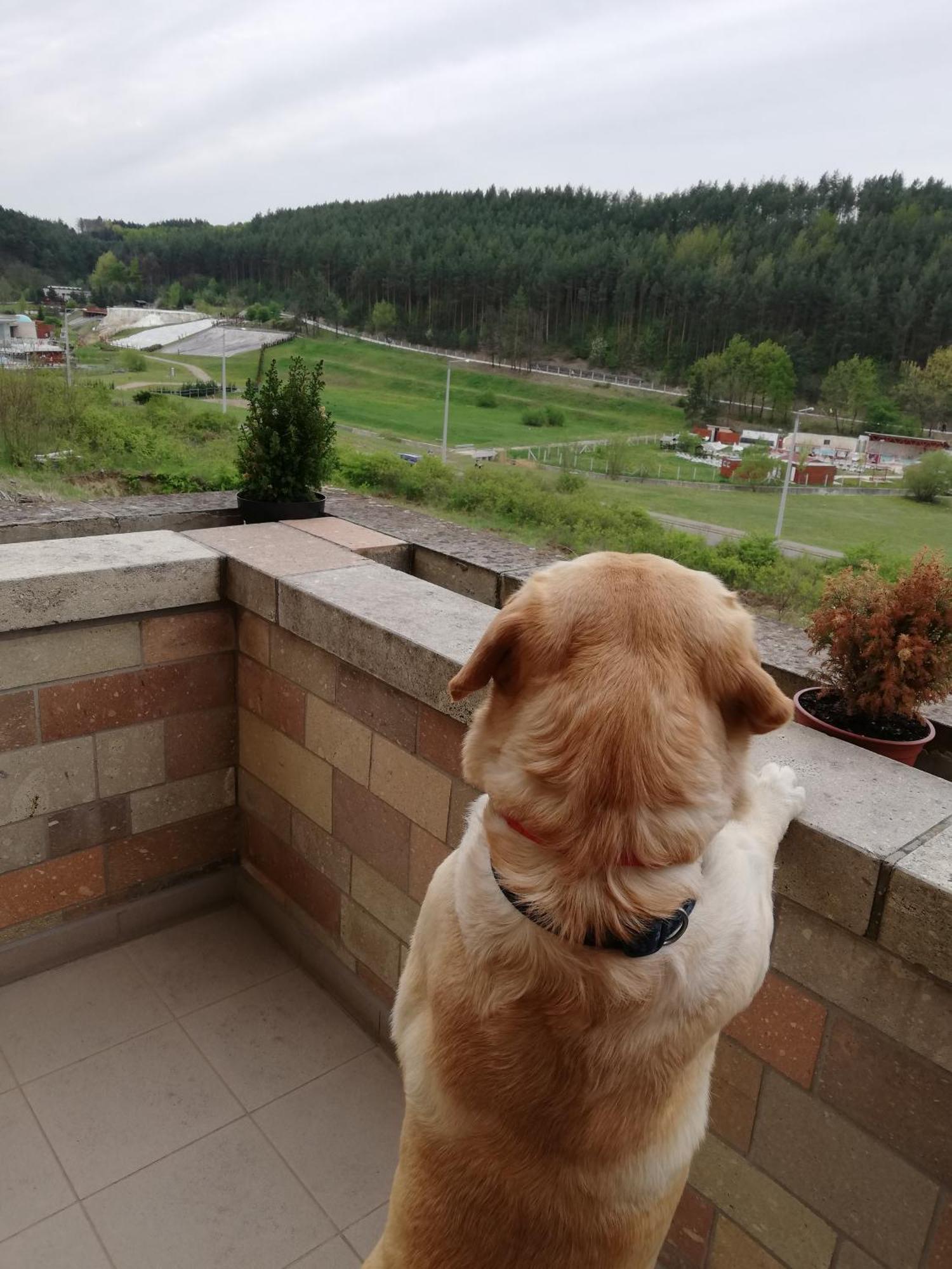 Chill Hill